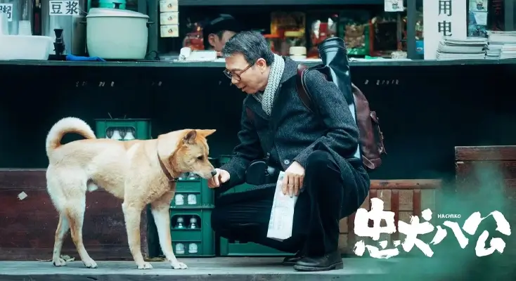 解除区域限制